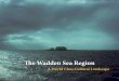 The Wadden Sea Region - A World Class Cultural Landscape