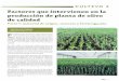 Agromillora - Factors involved in the production of quality olive plants (spanish)