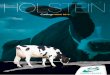 Catalogo Holstein 13.1 ESP