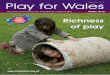 Play for Wales issue 33