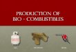 Production Bio-Combustibles