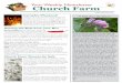 15/06/12 Church Farm Weekly Newsletter