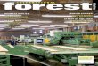 International Forest Industries Magazine - Dec/Jan 2013