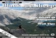 February's Black Sheep Travel Guide