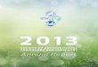 2013 SETAC Annual Report