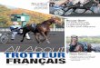 All about Trotteur Français n° 21