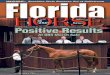 The Florida Horse April/May