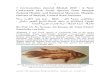 † Coelacanthus sharjah Khalaf, 2013 : A New Coelacanth Fish Fossil Species from Sharjah, UAE