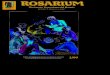 Rosarium 1999-01