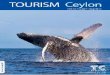 Tourism Ceylon