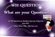 wh questions-what are your questions?