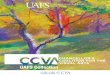 UAFS CCVA Brochure