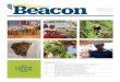 Caribbean Beacon - 2010 Edition