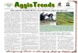 DA-Aggie Trends for December 2011