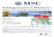 Cruise Line MSC