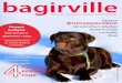 Bagirville - labrador retriever