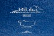 Bíblia Manuscrita - MT - Volume 3