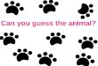 Can you guess the animal 01