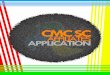 UP CMC Affiliates Application 2.0