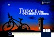 Fiesole Bike tour 2012