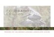 Colorado Lagoon Vision Plan