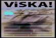 Viska 2013 4 web
