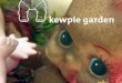 Kewpie Garden