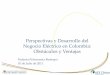 Perspectivas y Desarrollo del Negocio Eléctrico en Colombia: Obstáculos y Ventajas