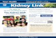 The Kidney Link - Spring 2013