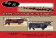 South View Ranch Red & Black Angus Bull Sale