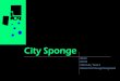 City Sponge