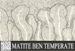 matite ben temperate / well tempered pencils