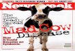 2001 Mad Cow Disease