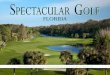 Spectacular Golf Florida—SALES