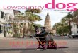 Lowcountry Dog Magazine Aug/Sept 2012