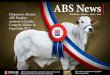 ABS NEWS - Maio 2012