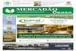 Jornal Mercadão Ceasa