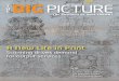 The Big Picture - December 2011 issue