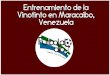 Entrenamiento de la Vinotinto en Maracaibo