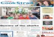 Cook Strait News 11-8-10