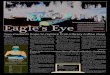 Eagle's Eye 110311