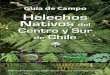 Helechos Nativos del Centro y Sur de Chile