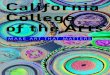 CCA Undergraduate Viewbook 2013-2016