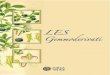 Catalogo LES - Gemmoterapia