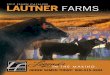 Lautner Farms 2012 Sire Directory