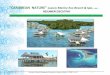 FASE 1-V3.1-CARIBBEAN NATURE Resorts -Resumen ejecutivo