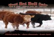 Best Bet Bull & Female Sale