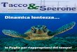 Tacco & Sperone 8