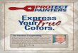 Protect Painters franchise brochure fm
