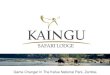 KaingU Safari Lodge in Zambia